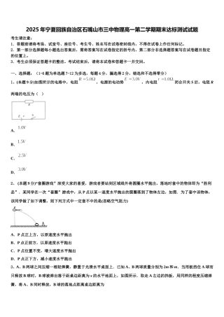 2025年宁夏回族自治区石嘴山市三中物理高一第二学期期末达标测试试题含解析
