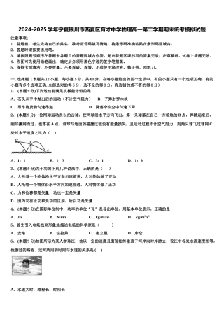 2024-2025学年宁夏银川市西夏区育才中学物理高一第二学期期末统考模拟试题含解析
