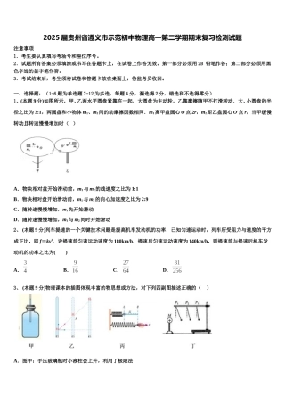 2025届贵州省遵义市示范初中物理高一第二学期期末复习检测试题含解析