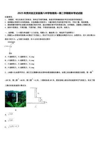 2025年贵州省正安县第八中学物理高一第二学期期末考试试题含解析