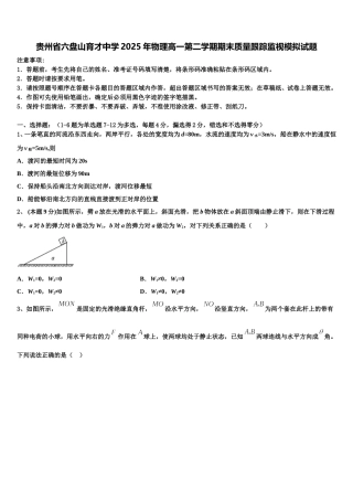 贵州省六盘山育才中学2025年物理高一第二学期期末质量跟踪监视模拟试题含解析