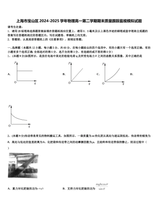 上海市宝山区2024-2025学年物理高一第二学期期末质量跟踪监视模拟试题含解析