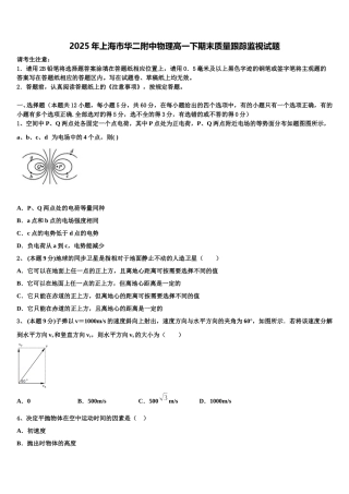 2025年上海市华二附中物理高一下期末质量跟踪监视试题含解析
