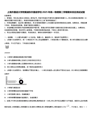 上海外国语大学附属浦东外国语学校2025年高一物理第二学期期末综合测试试题含解析