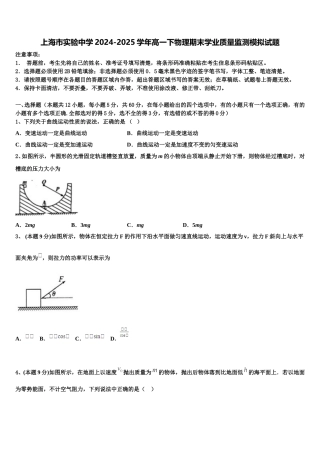 上海市实验中学2024-2025学年高一下物理期末学业质量监测模拟试题含解析