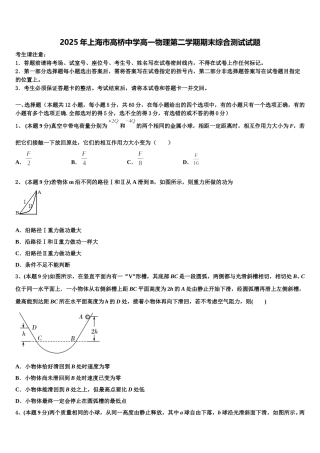 2025年上海市高桥中学高一物理第二学期期末综合测试试题含解析