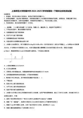 上海师范大学附属中学2024-2025学年物理高一下期末达标检测试题含解析