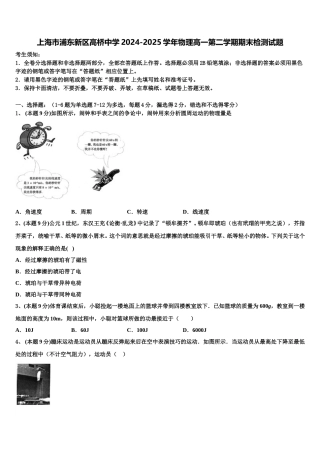上海市浦东新区高桥中学2024-2025学年物理高一第二学期期末检测试题含解析