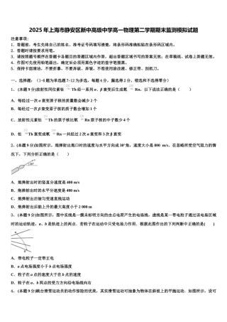 2025年上海市静安区新中高级中学高一物理第二学期期末监测模拟试题含解析