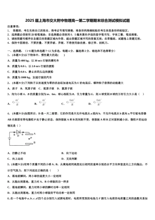 2025届上海市交大附中物理高一第二学期期末综合测试模拟试题含解析
