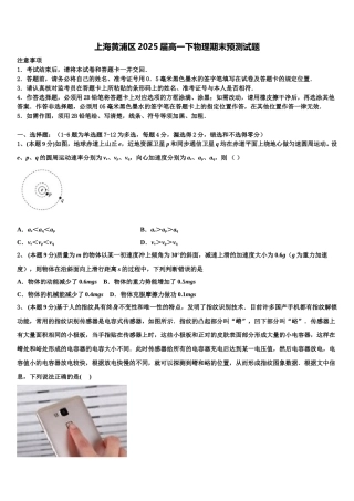 上海黄浦区2025届高一下物理期末预测试题含解析