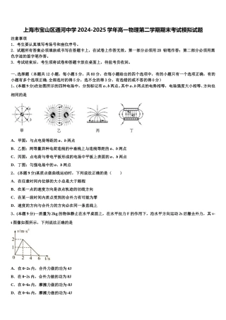 上海市宝山区通河中学2024-2025学年高一物理第二学期期末考试模拟试题含解析