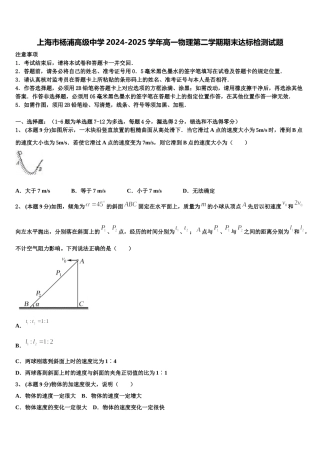 上海市杨浦高级中学2024-2025学年高一物理第二学期期末达标检测试题含解析