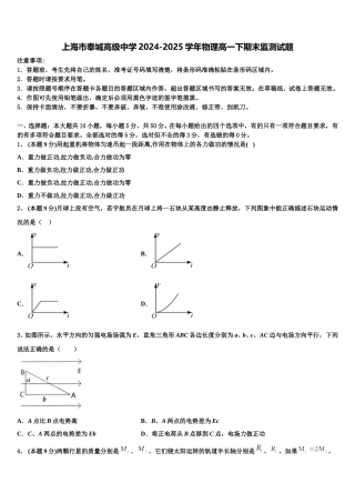 上海市奉城高级中学2024-2025学年物理高一下期末监测试题含解析