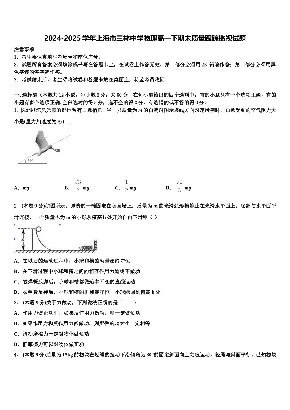 2024-2025学年上海市三林中学物理高一下期末质量跟踪监视试题含解析_第1页