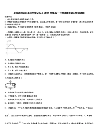 上海市静安区丰华中学2024-2025学年高一下物理期末复习检测试题含解析