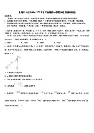 上海市十校2024-2025学年物理高一下期末检测模拟试题含解析