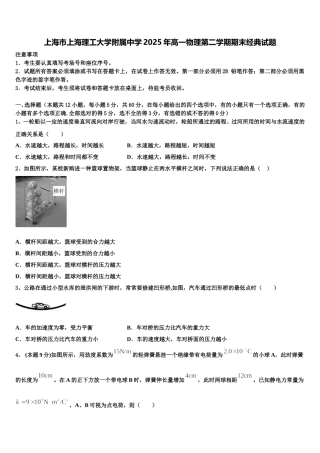上海市上海理工大学附属中学2025年高一物理第二学期期末经典试题含解析