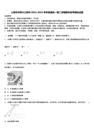 上海市华师大三附中2024-2025学年物理高一第二学期期末统考模拟试题含解析