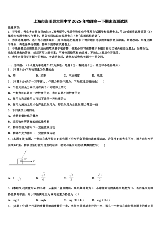 上海市崇明县大同中学2025年物理高一下期末监测试题含解析