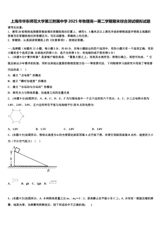 上海市华东师范大学第三附属中学2025年物理高一第二学期期末综合测试模拟试题含解析