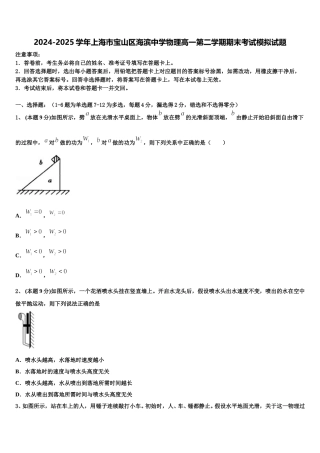 2024-2025学年上海市宝山区海滨中学物理高一第二学期期末考试模拟试题含解析