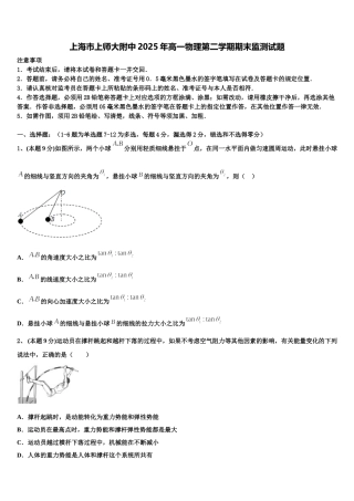 上海市上师大附中2025年高一物理第二学期期末监测试题含解析