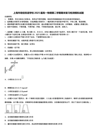 上海市培佳双语学校2025届高一物理第二学期期末复习检测模拟试题含解析