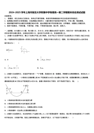 2024-2025学年上海市复旦大学附属中学物理高一第二学期期末综合测试试题含解析