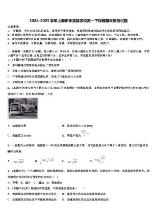 2024-2025学年上海市东实验学校高一下物理期末预测试题含解析