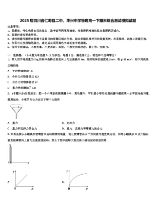 2025届四川省仁寿县二中、华兴中学物理高一下期末综合测试模拟试题含解析