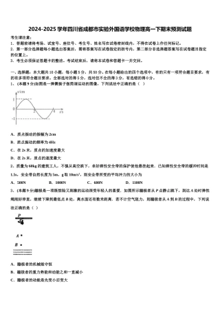 2024-2025学年四川省成都市实验外国语学校物理高一下期末预测试题含解析