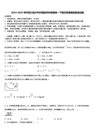 2024-2025学年四川省泸州外国语学校物理高一下期末质量跟踪监视试题含解析