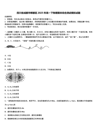 四川省成都市郫都区2025年高一下物理期末综合测试模拟试题含解析