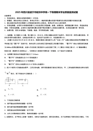 2025年四川省遂宁市射洪中学高一下物理期末学业质量监测试题含解析