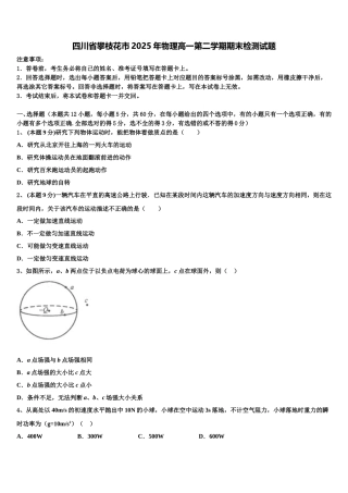四川省攀枝花市2025年物理高一第二学期期末检测试题含解析