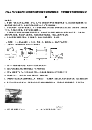 2024-2025学年四川省绵阳市绵阳中学资阳育才学校高一下物理期末质量检测模拟试题含解析