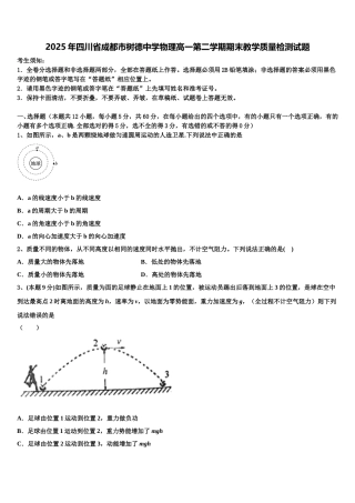 2025年四川省成都市树德中学物理高一第二学期期末教学质量检测试题含解析