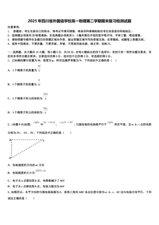 2025年四川省外国语学校高一物理第二学期期末复习检测试题含解析