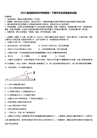 2025届成都实验中学物理高一下期末学业质量监测试题含解析