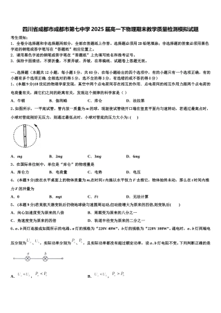 四川省成都市成都市第七中学2025届高一下物理期末教学质量检测模拟试题含解析