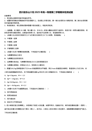 四川省乐山十校2025年高一物理第二学期期末检测试题含解析