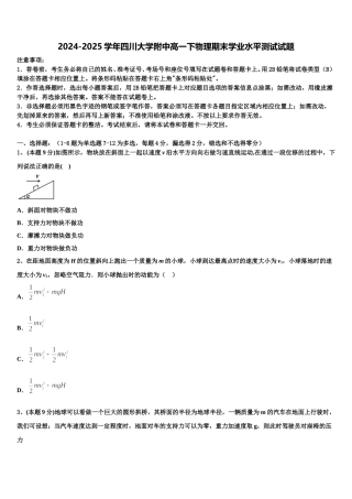 2024-2025学年四川大学附中高一下物理期末学业水平测试试题含解析