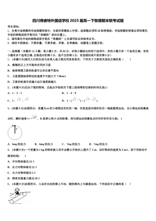 四川博睿特外国语学校2025届高一下物理期末联考试题含解析
