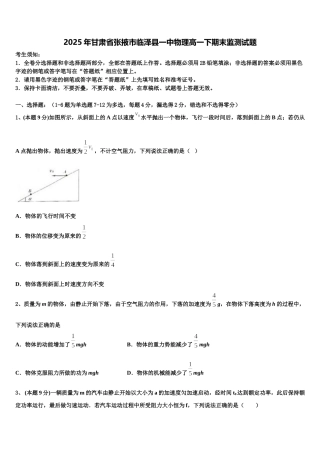 2025年甘肃省张掖市临泽县一中物理高一下期末监测试题含解析