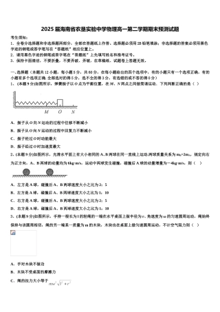 2025届海南省农垦实验中学物理高一第二学期期末预测试题含解析