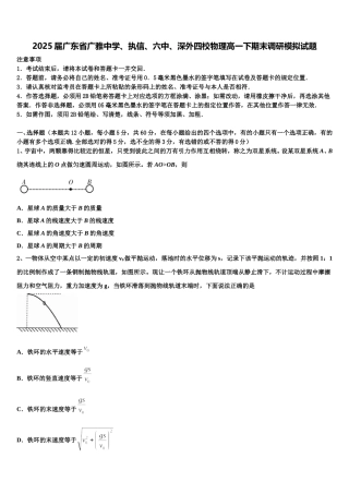 2025届广东省广雅中学、执信、六中、深外四校物理高一下期末调研模拟试题含解析