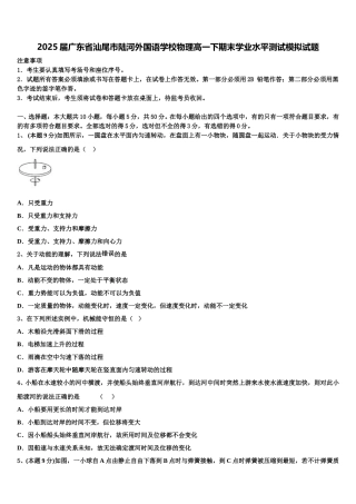 2025届广东省汕尾市陆河外国语学校物理高一下期末学业水平测试模拟试题含解析
