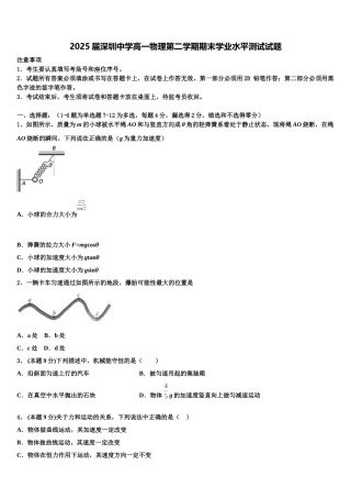 2025届深圳中学高一物理第二学期期末学业水平测试试题含解析