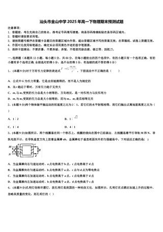 汕头市金山中学2025年高一下物理期末预测试题含解析